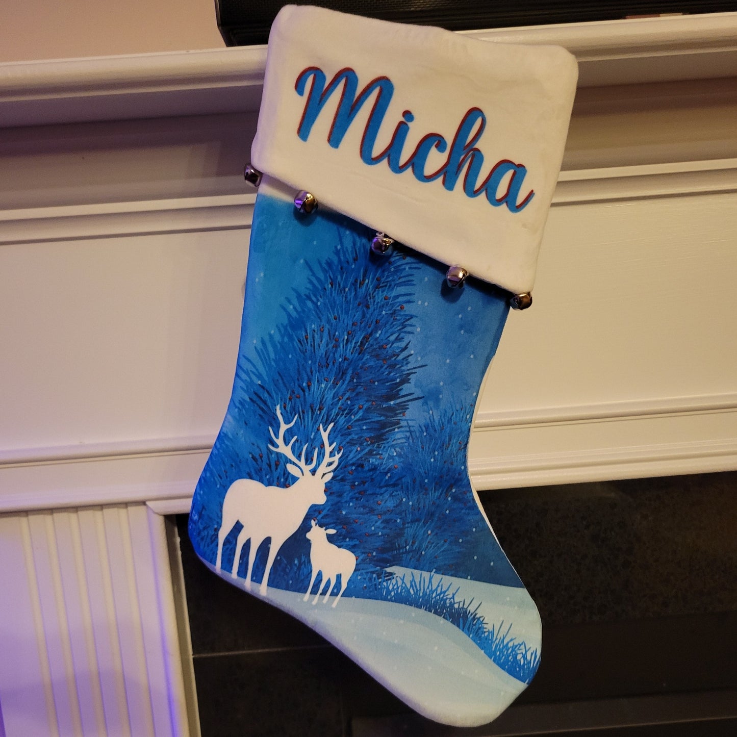 Personalized Plush Stocking